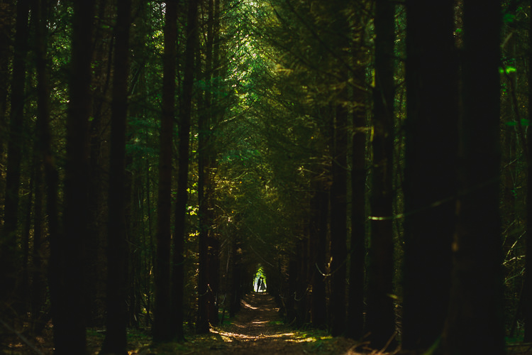 Hand Crafted Camp Woodland Wedding http://bloomweddings.co.uk/