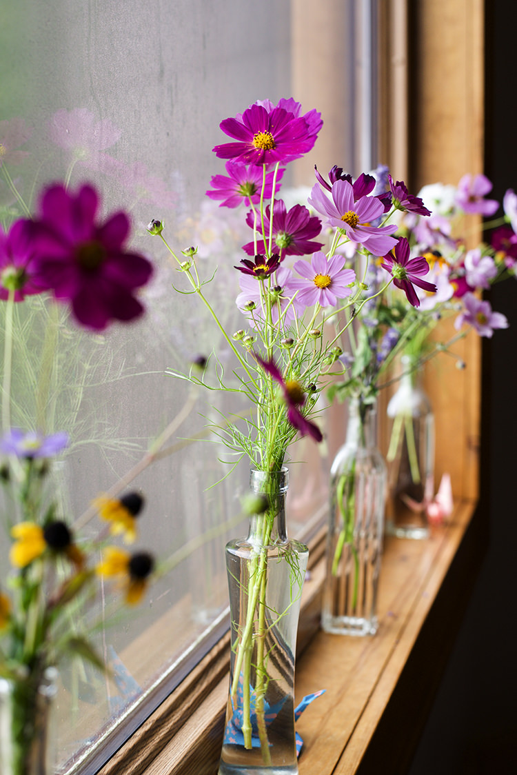 Fresh Florals Purple Yellow Daises Long Glass Vases Windowsill Woodland Waterfall Mint Wedding Ontario http://www.laurenmccormickphotography.com/