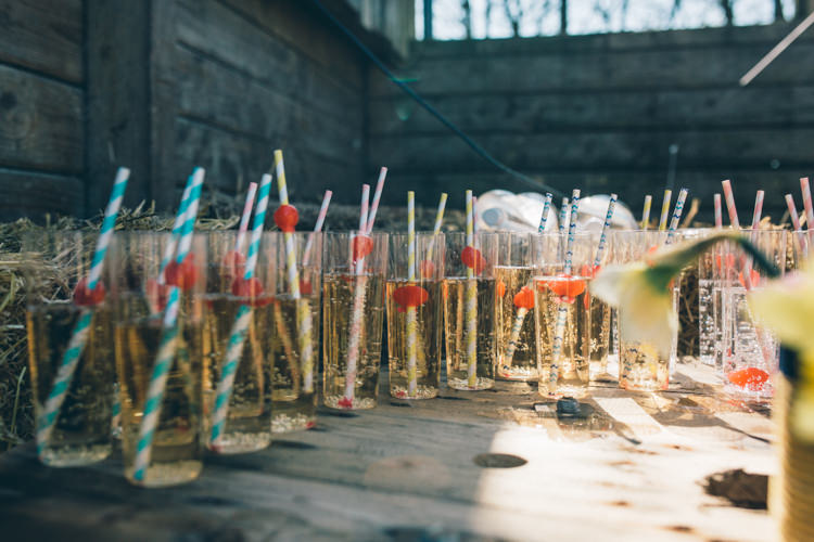 Dinks Stripy Straws Crafty Country Rustic Wedding http://www.naomijanephotography.com/