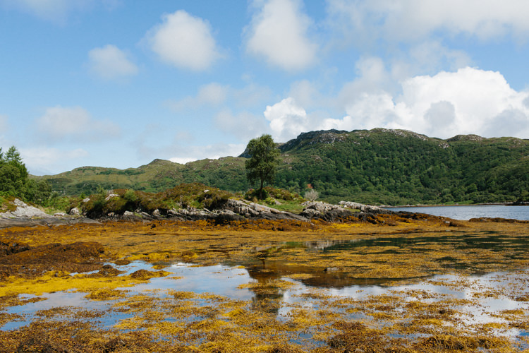 Intimate Outdoor Scotland Wedding http://www.caroweiss.com/