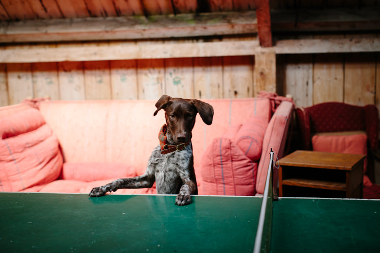 Intimate Outdoor Scotland Wedding http://www.caroweiss.com/