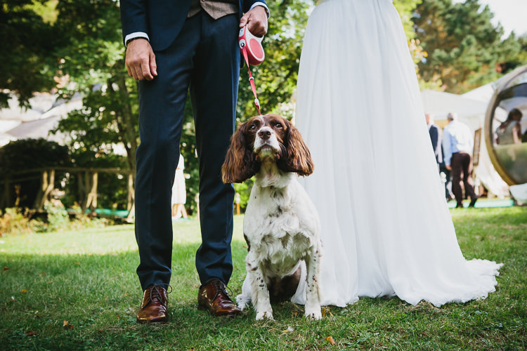 Dog Pet Bohemian Outdoor Country Wedding https://www.alexapoppeweddingphotography.com/