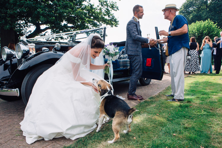 Dog Pet Seaside Country Farm Pale Blue Marquee Wedding http://loveandadventures.co.uk/