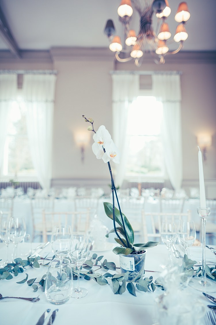 Orchid Potted Plant Decor Eucalyptus Runners Fun Stylish City Hall Wedding http://www.terryliphotography.co.uk/