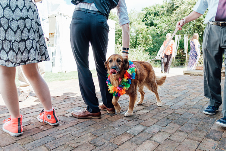 Fun DIY Barn Farm Summer Wedding http://www.annapumerphotography.com/