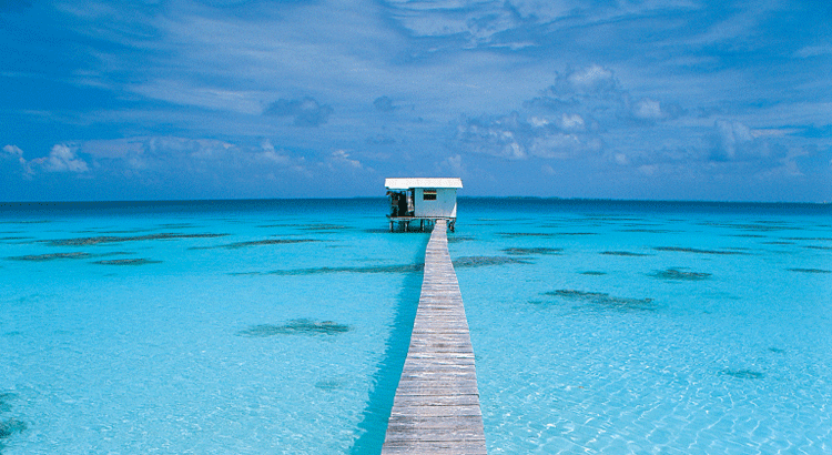 The Turquoise Holiday Company UK Wedding Supplier UK Directory Honeymoon