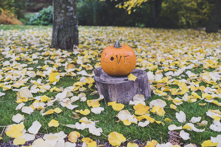 Love Pumpkin Decor Ethereal Romantic Autumn Barn Wedding http://www.oacphotography.com/