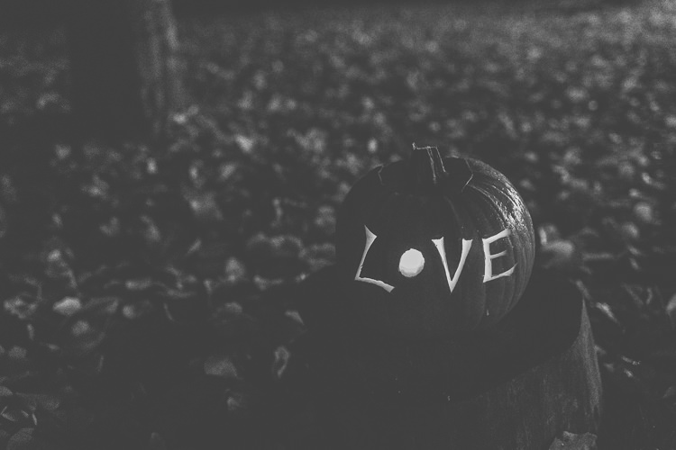 Ethereal Romantic Autumn Barn Wedding http://www.oacphotography.com/