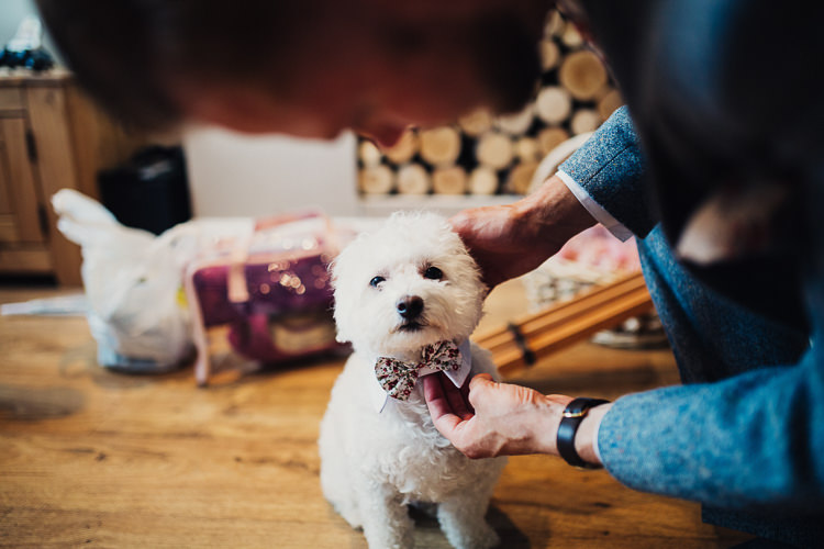 Pet Pup Bow Tie Quirky Crafty Rustic Barn Wedding http://www.stevebridgwoodphotography.co.uk/