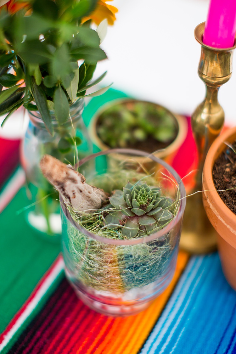 Potted Succulent Decor Mexican Inspired Colourful Cactus Wedding http://katherineashdown.co.uk/