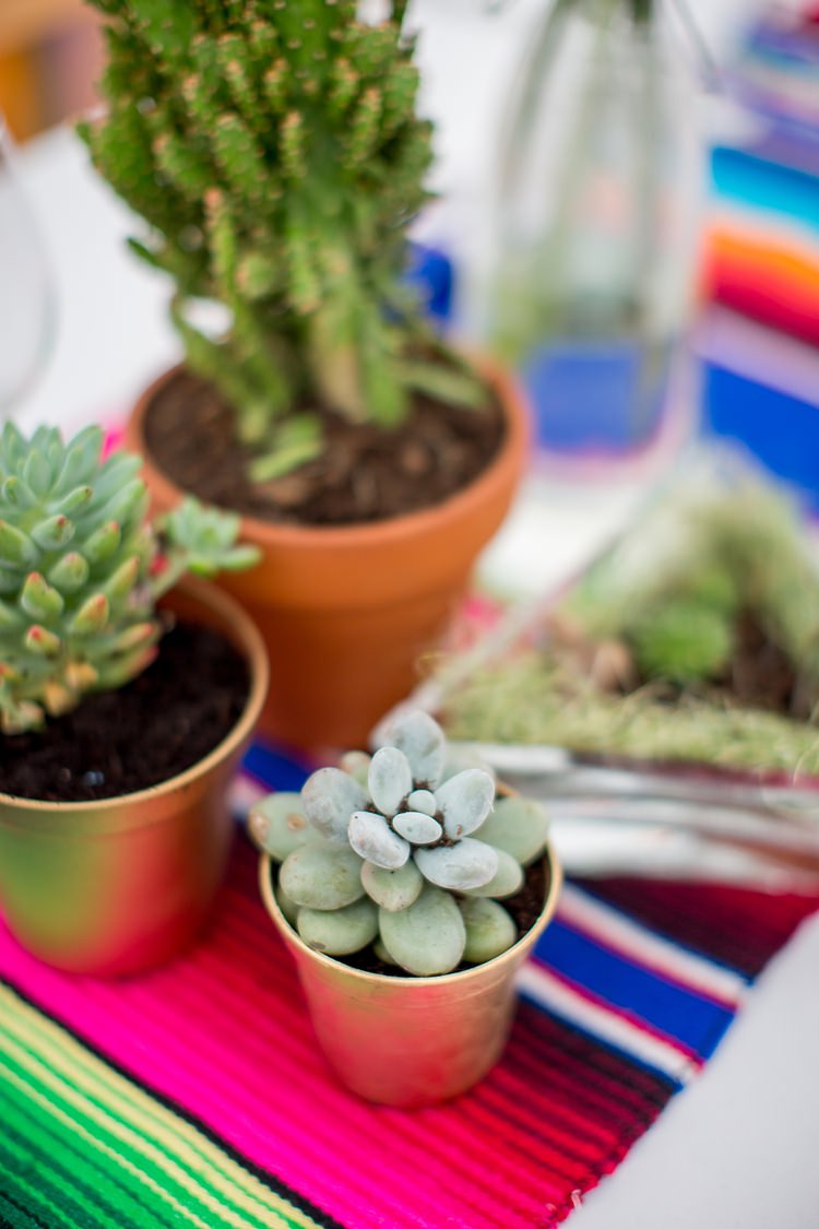 Potted Succulent Decor Mexican Inspired Colourful Cactus Wedding http://katherineashdown.co.uk/