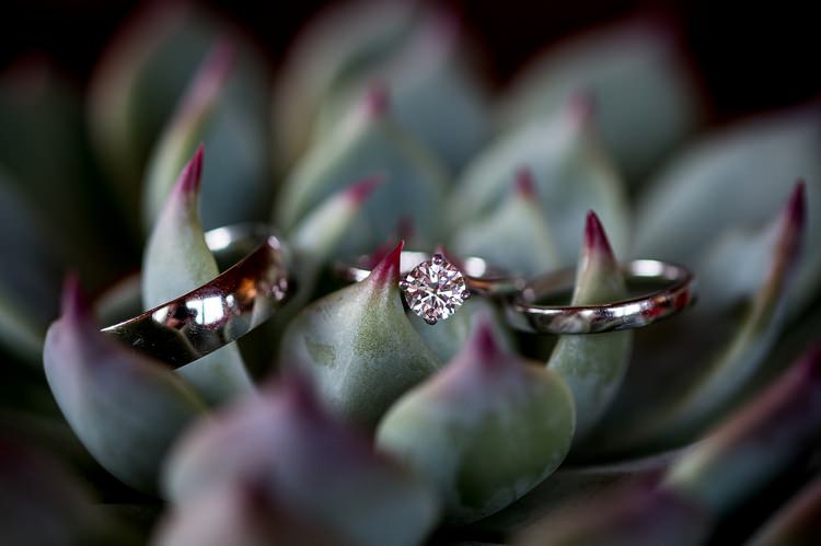Engagement Rings Bands Mexican Inspired Colourful Cactus Wedding http://katherineashdown.co.uk/