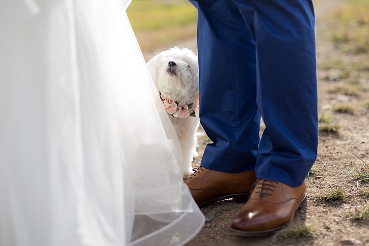 Outdoor First Look Bride Groom Dog Pink Floral Collar Romantic Mountain Wedding Colorado http://irvingphotographydenver.com/