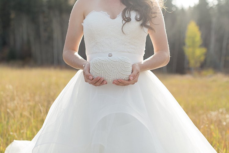 Bride Strapless Lace Ballgown Bridal Gown Loose Curls Hairstyle Embellished Pearl Clutch Romantic Mountain Wedding Colorado http://irvingphotographydenver.com/