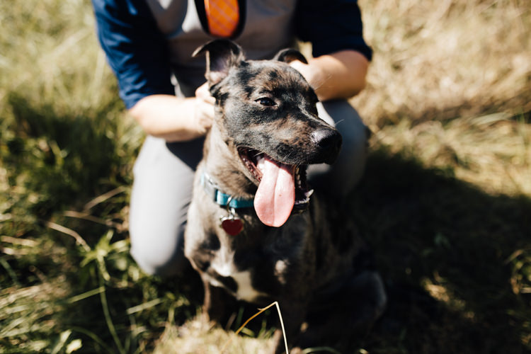 Groom Grey Vest Pants Navy Blue Shirt Orange Checkered Tie Dog Ring Bearer Adventure Inspired Woodland Wedding North Carolina http://www.amandasuttonphotography.com/