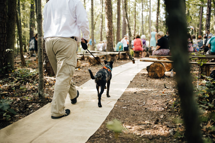 Ceremony Dog Ring Bearer Wedding Help Advice Planning http://www.amandasuttonphotography.com/