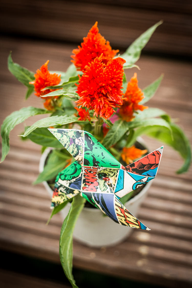 Colourful Vintage Comic Book Wedding Ideas http://www.hayleypettitphotography.com/