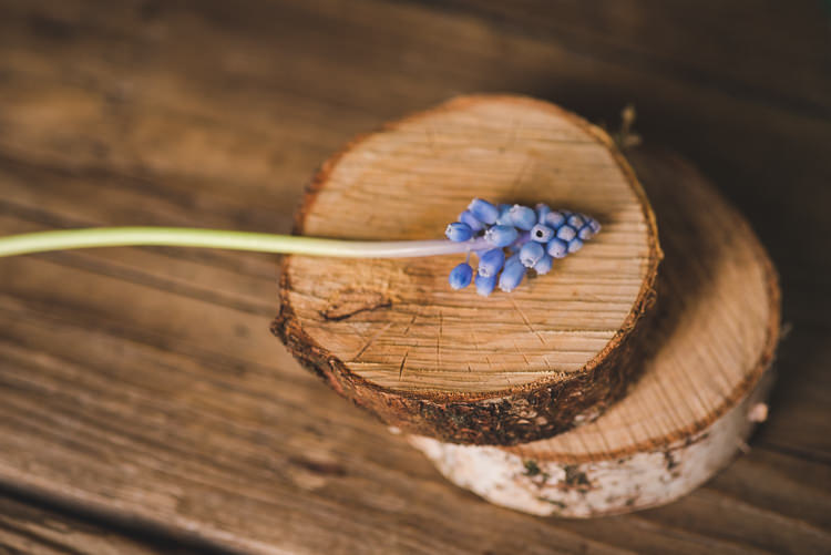 Magical Spring Bluebell Woodland Wedding Ideas http://helinebekker.co.uk/