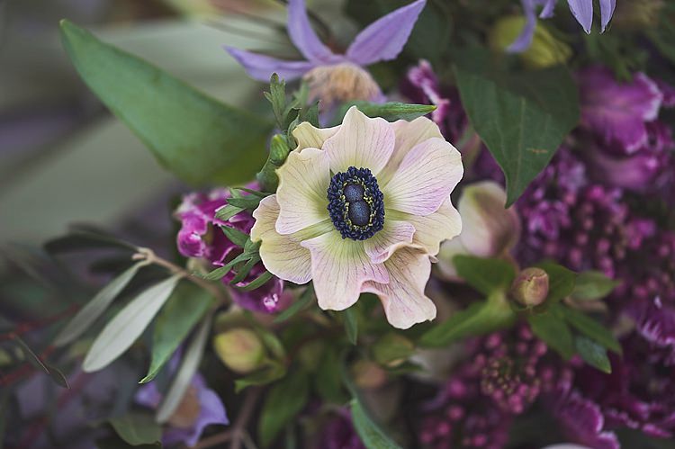 Violet Spring Luxe Wedding Ideas http://www.katieingram.co.uk/
