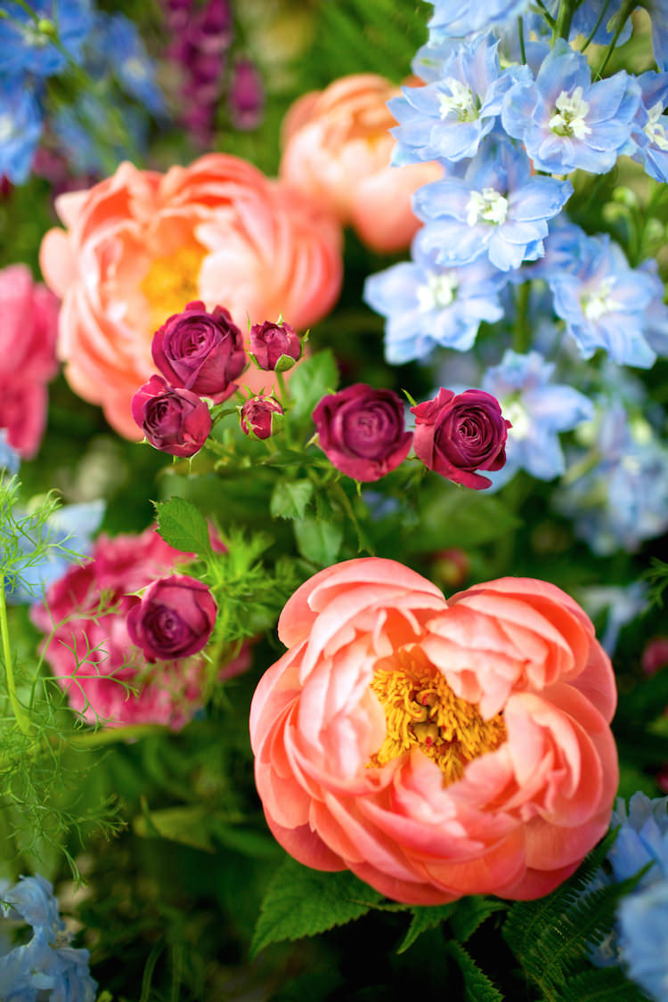 Coral Peony Peonies Floral Artistic Farm Wedding http://elizabetharmitage.com/
