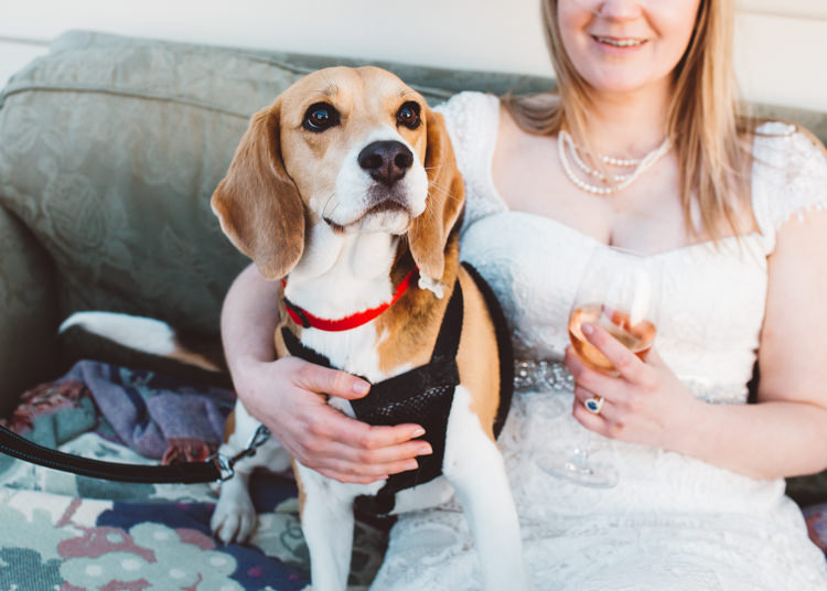 Dog Pet Low Key Pastel Seaside Wedding http://holliecarlinphotography.com/