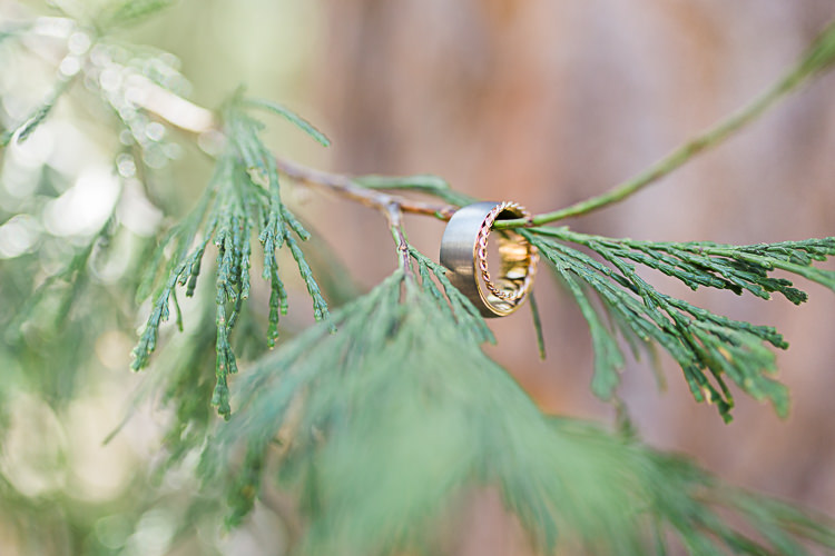 Gold Wedding Bands Tree Branch DIY Whimsical Camp Wedding California http://www.landbphotography.org/