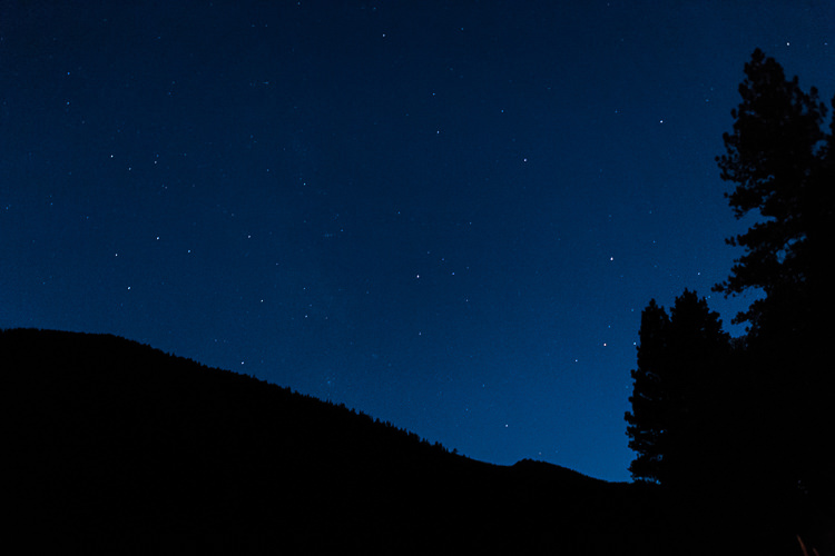 Outdoor Reception Nightfall Stars Trees DIY Whimsical Camp Wedding California http://www.landbphotography.org/