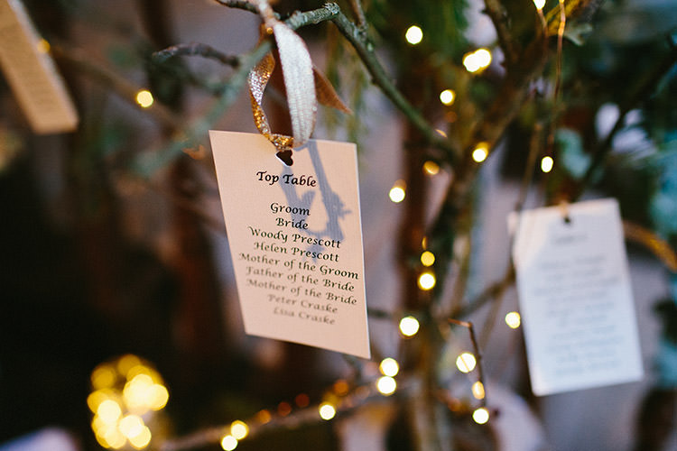 Tree Seating Plan Table Chart Tags Enchanted Fairy Garden Wedding http://lunaweddings.co.uk/