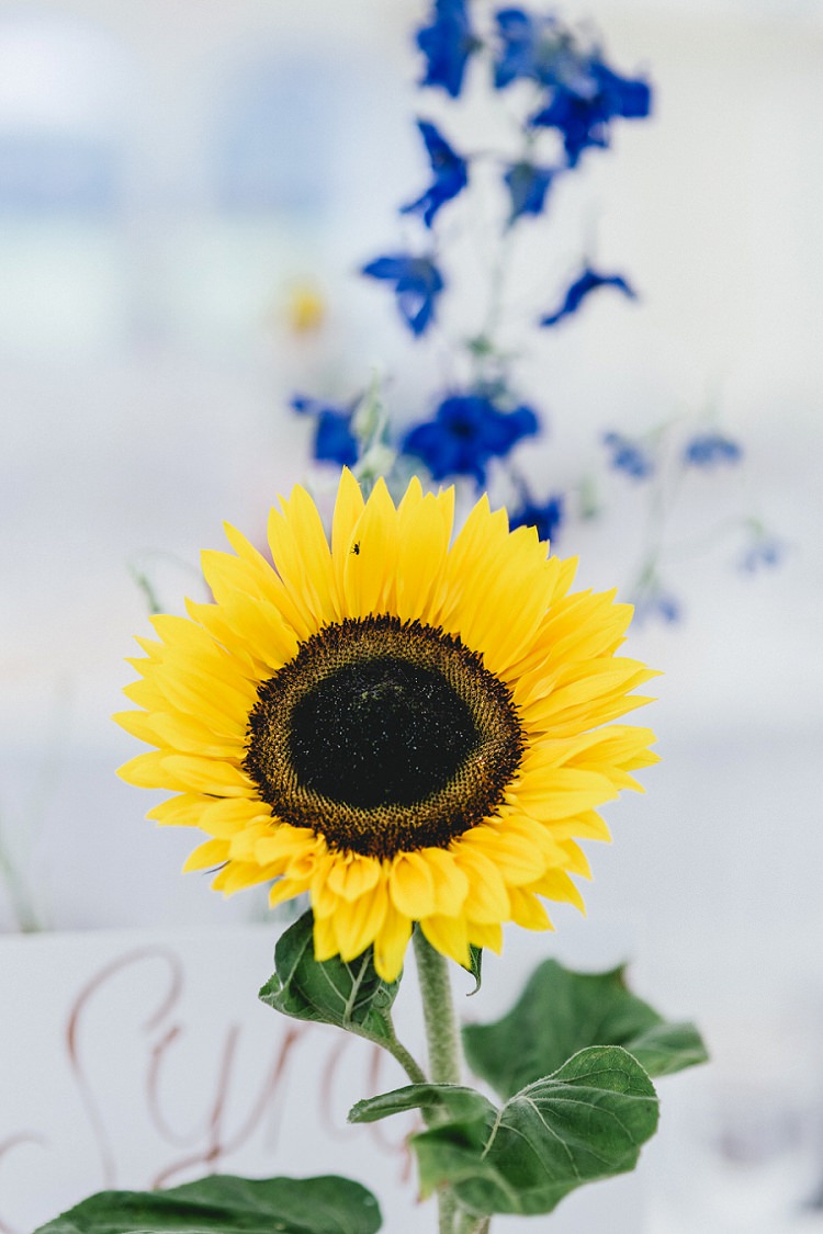 All Things Big Bright Beautiful Multicolour Wedding http://benjaminmathers.co.uk/ 