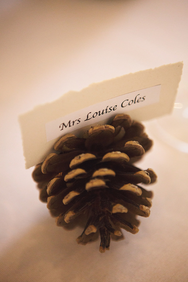 Elegant Luxe Red Blue Winter Wedding http://www.bennicarolweddingphotography.com/
