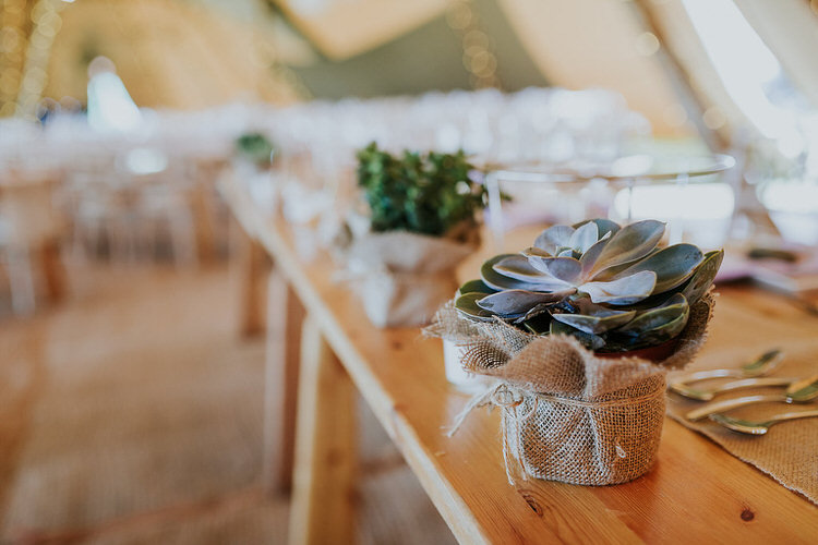 Succulent Favours Hessian Burlap Adventure Country Tipi Farm Wedding http://www.kategrayphotography.com/