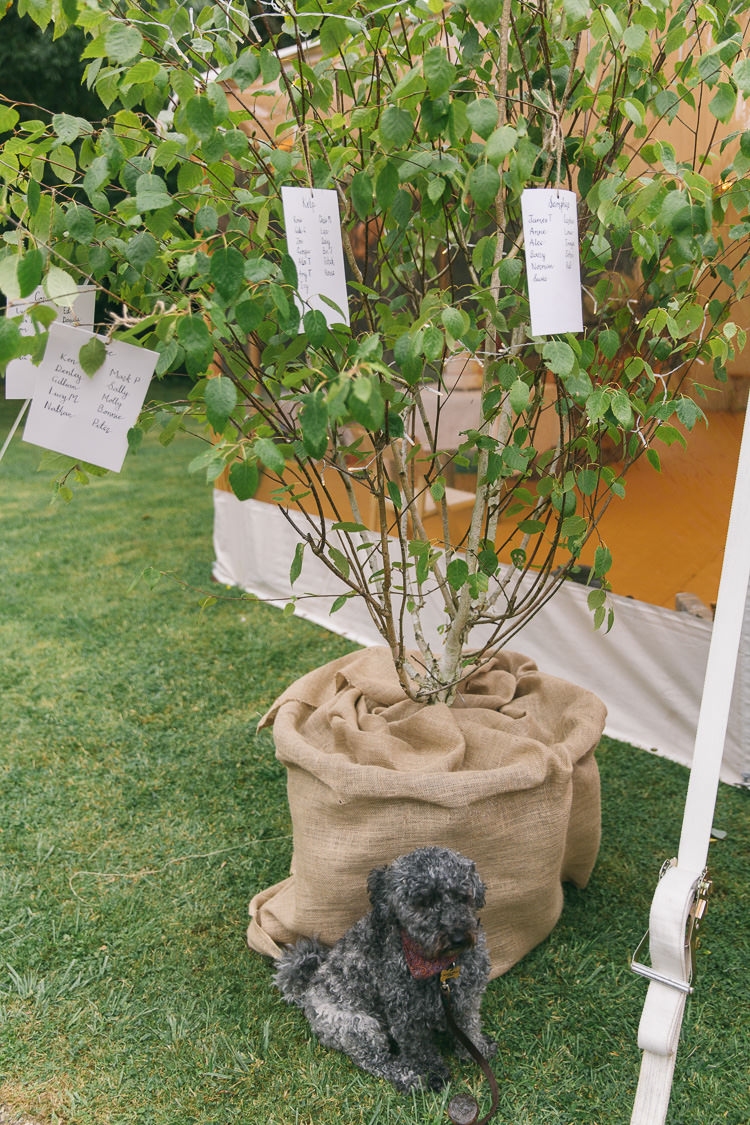 Saeting Plan Table Chart Tree Creative Cool Bohemian Harbourside Wedding http://carohutchings.com/