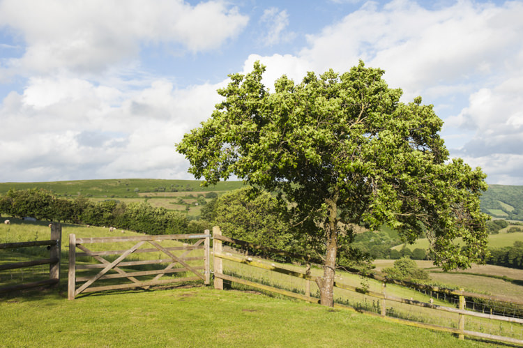 Chilled Country Boho White Green Wedding http://eleanorjaneweddings.co.uk/