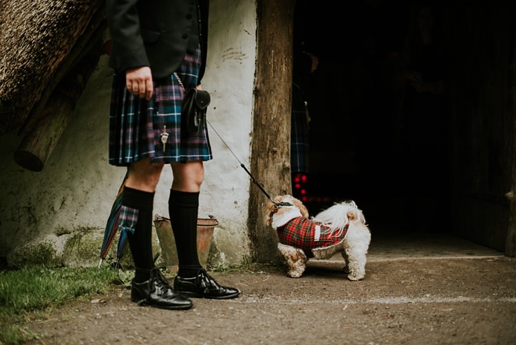 Pet Dog Creative Woodland Mad Hatters Tea Party Wedding https://www.clairefleckphotography.com/