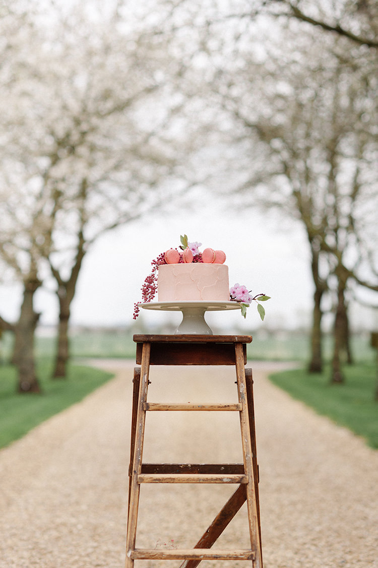 Cake Iced Buttercream Pink Macaron Berries Flowers Ladder Cherry Blossom Soft Spring Wedding Ideas http://www.photographybybea.co.uk/