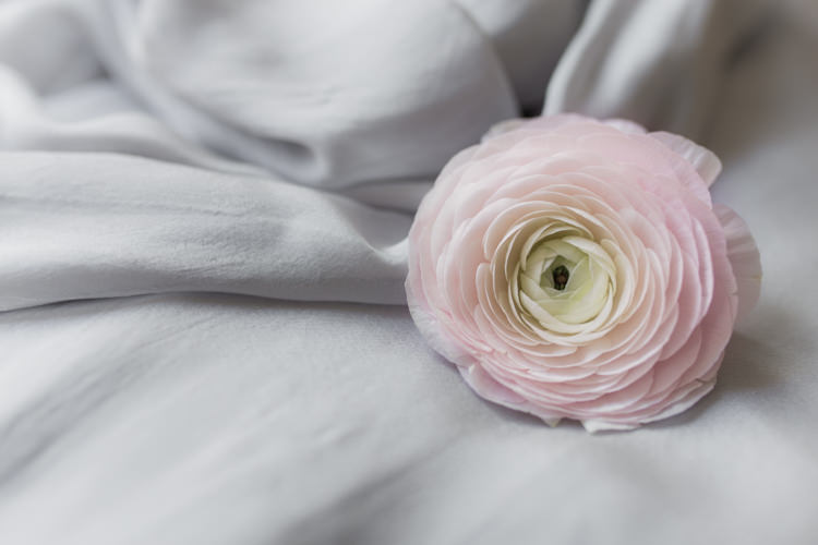 Pretty Soft Country Garden Pastel Wedding Ideas https://www.ellielouphotography.co.uk/