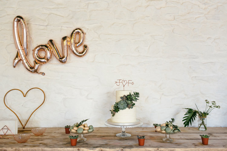 Cake Table Love Balloon Flowers Plants Minimal Botanical Copper Greenery Wedding http://www.frecklephotography.co.uk/