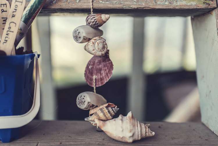 Shells Detail Decor Stepladder Quirky Seaside Farm Wedding http://www.thomasthomasphotography.co.uk/