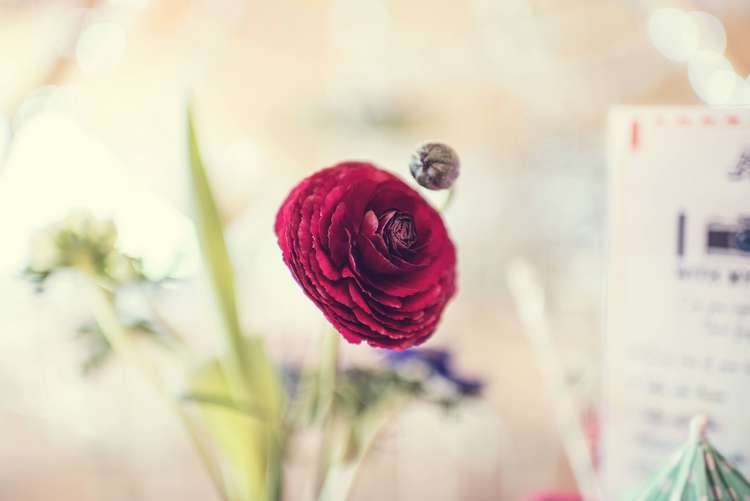 Quirky Seaside Farm Wedding http://www.thomasthomasphotography.co.uk/