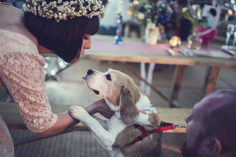 Quirky Seaside Farm Wedding http://www.thomasthomasphotography.co.uk/