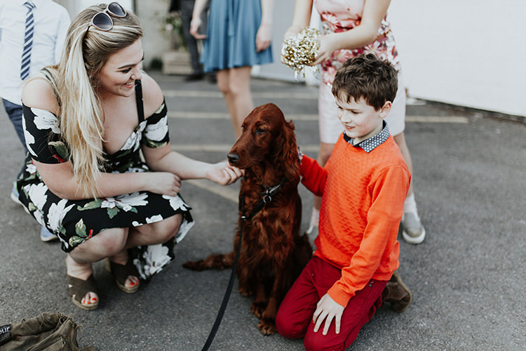 All The Colours Quirky Dinosaur Wedding https://leahlombardi.com/