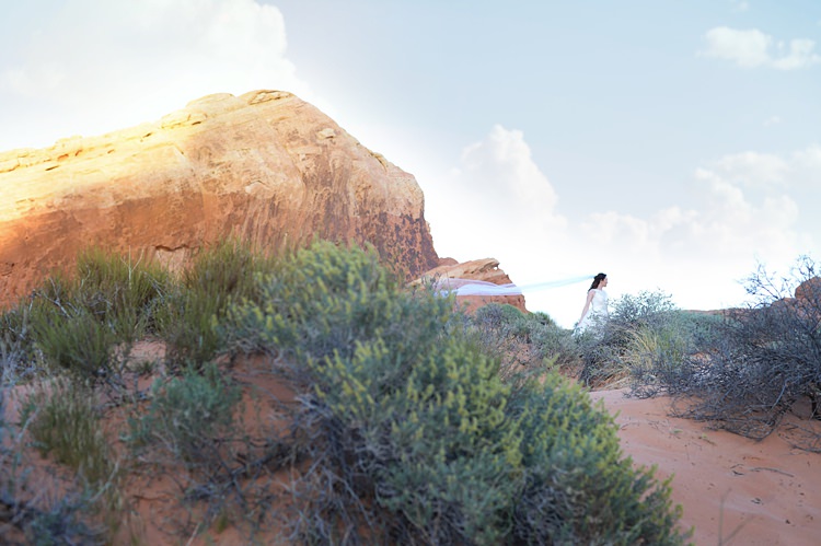Veil Landscape Windy Valley of Fire Wedding Nevada https://cactusandlaceweddings.com/