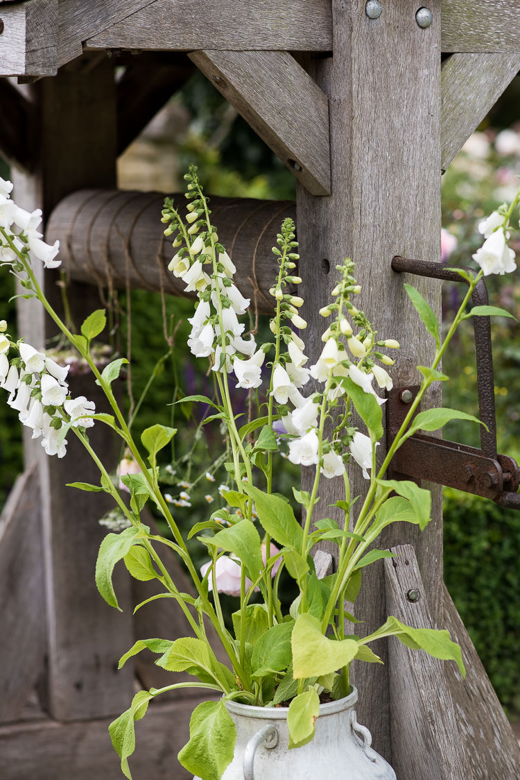 Steel Metal Milk Churn Foxglove Well Pretty Urban Nature Wedding Ideas http://www.fionasweddingphotography.co.uk/