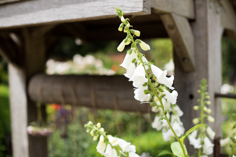Pretty Urban Nature Wedding Ideas http://www.fionasweddingphotography.co.uk/