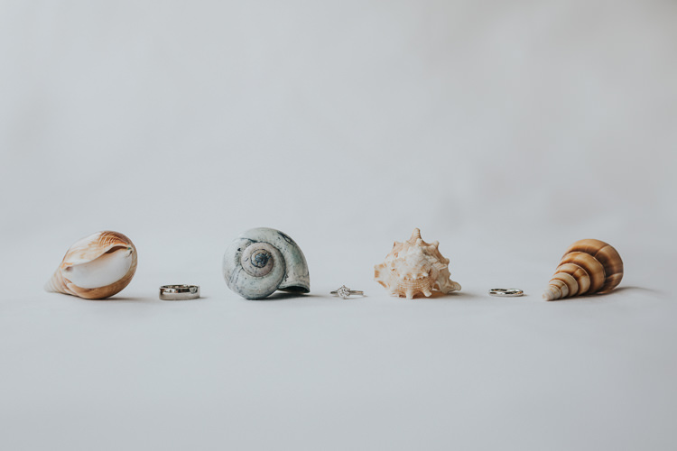 Rings Bands Shells Colour Pop Coral Beach Wedding http://www.kategrayphotography.com/