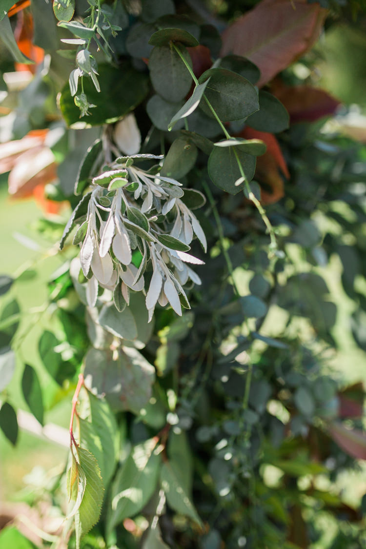 Foliage Roses Arch Backdrop Flowers Bohemian Garden Greenery Wedding Ideas http://www.storytellerphotography.co.uk/