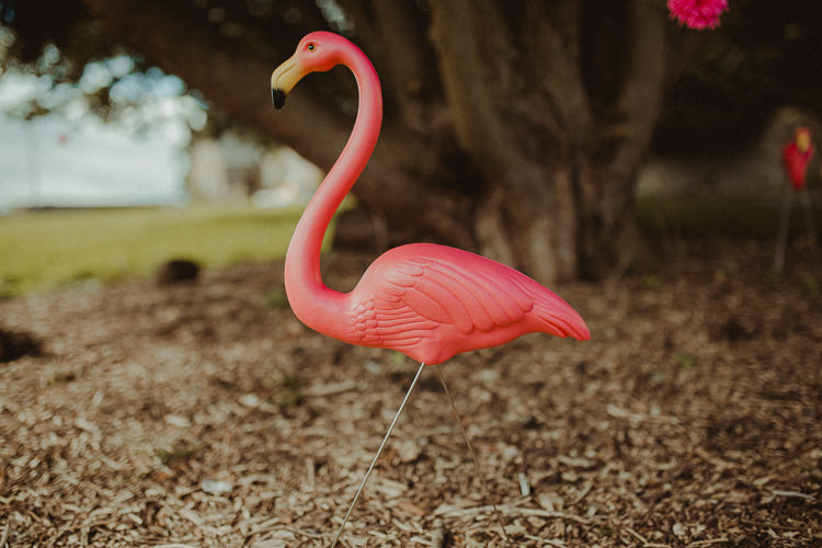 Flamingo Eclectic Kitsch Retro Fete Wedding http://www.belleartphotography.com/