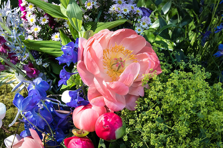 Bouquet Bride Bridal Pink Peony Peonies Rose Blue Foliage Greenery Her Heart Was A Secret Garden Wedding Ideas Woodland Colourful Spring Bluebells Flowers http://sarabeaumontphotography.com/