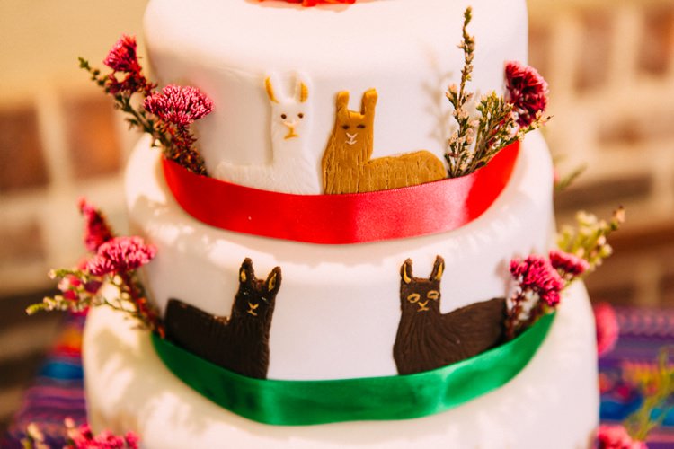 Llama Cake Colourful Mexican Garden Wedding http://jennifersmithphotography.co.uk/