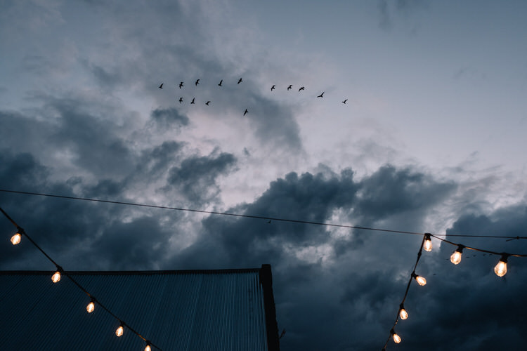 Twinkling Rustic DIY Barn Wedding https://www.harperscottphoto.com/